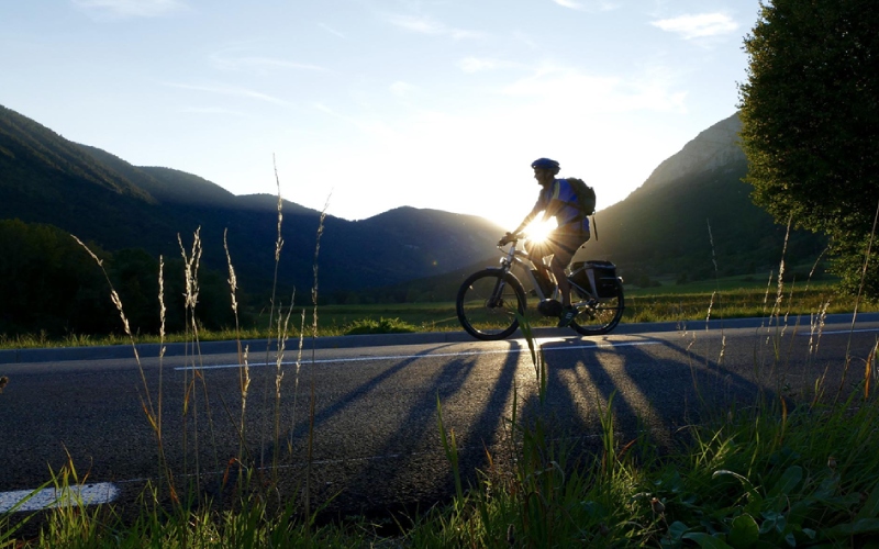 Electric Bikes